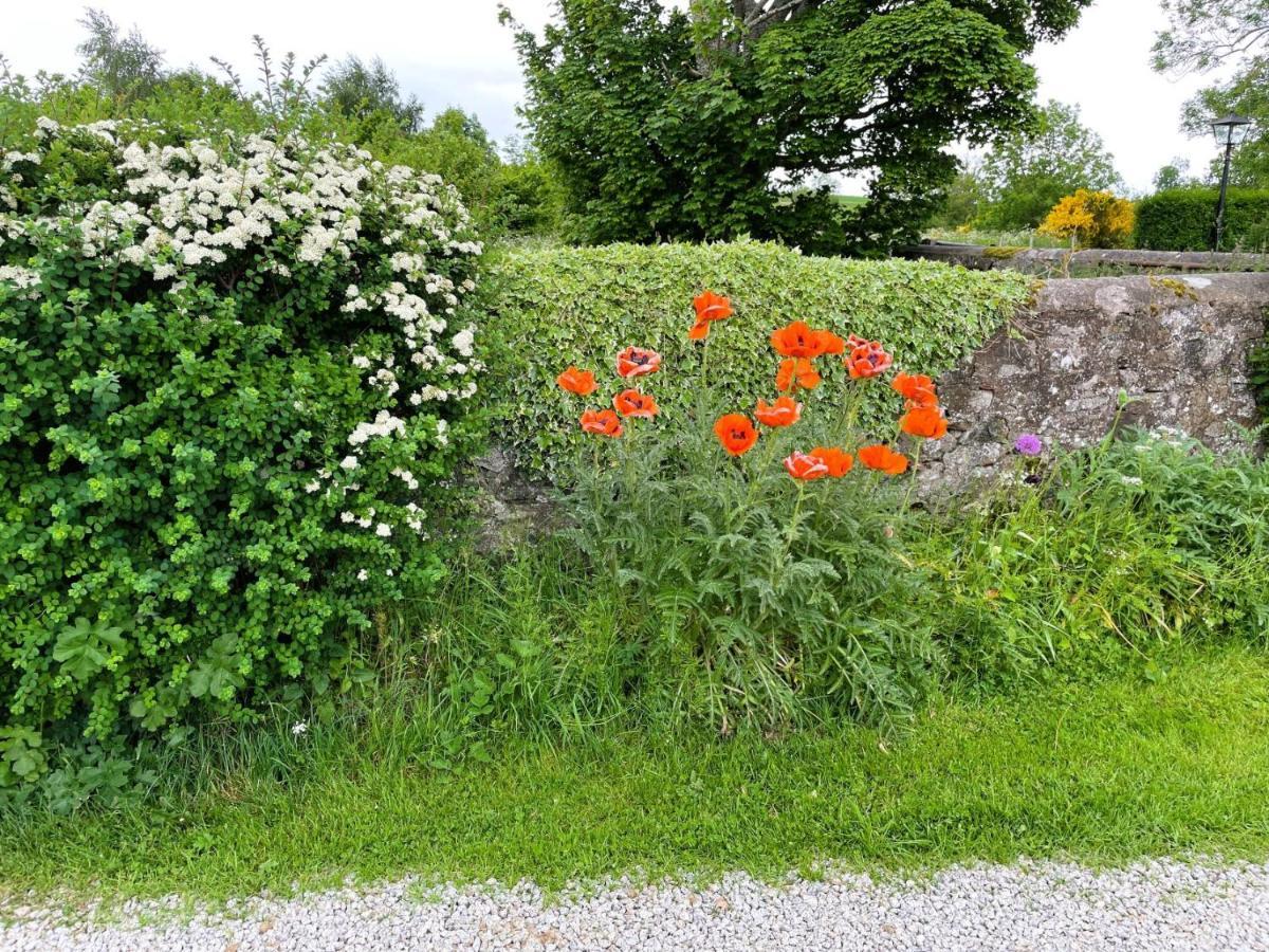 Deveron Valley Cottages Marnoch Exterior foto